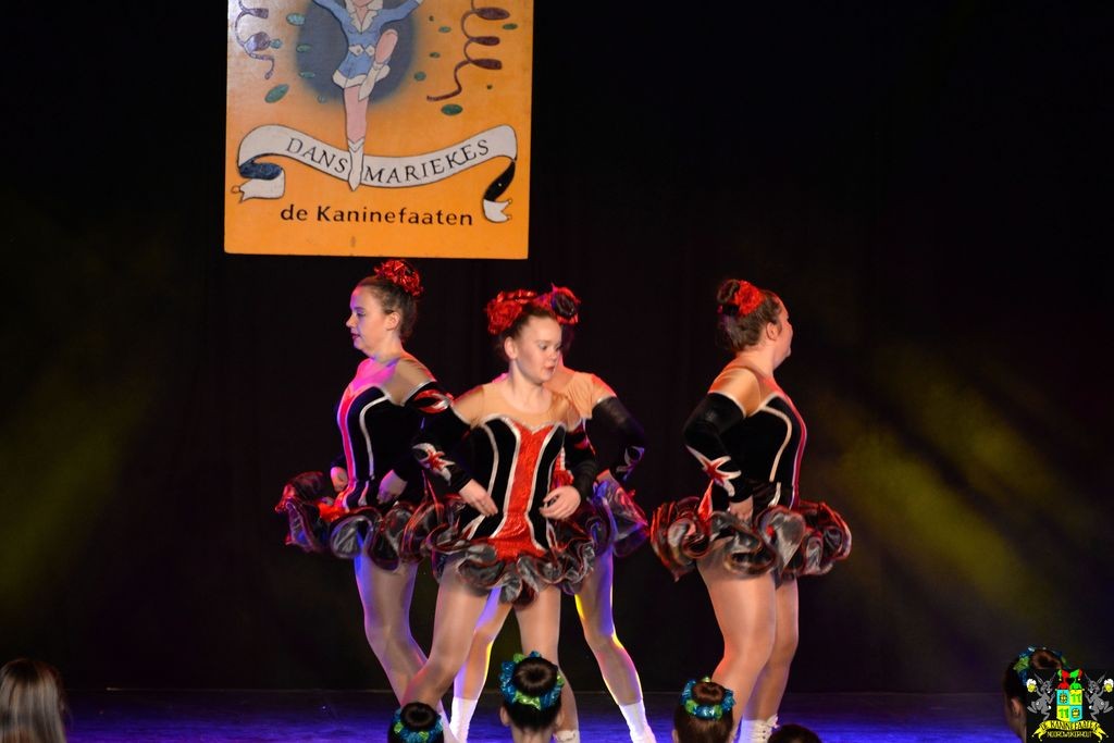 ../Images/Dansmarieke festival 2018 185.jpg